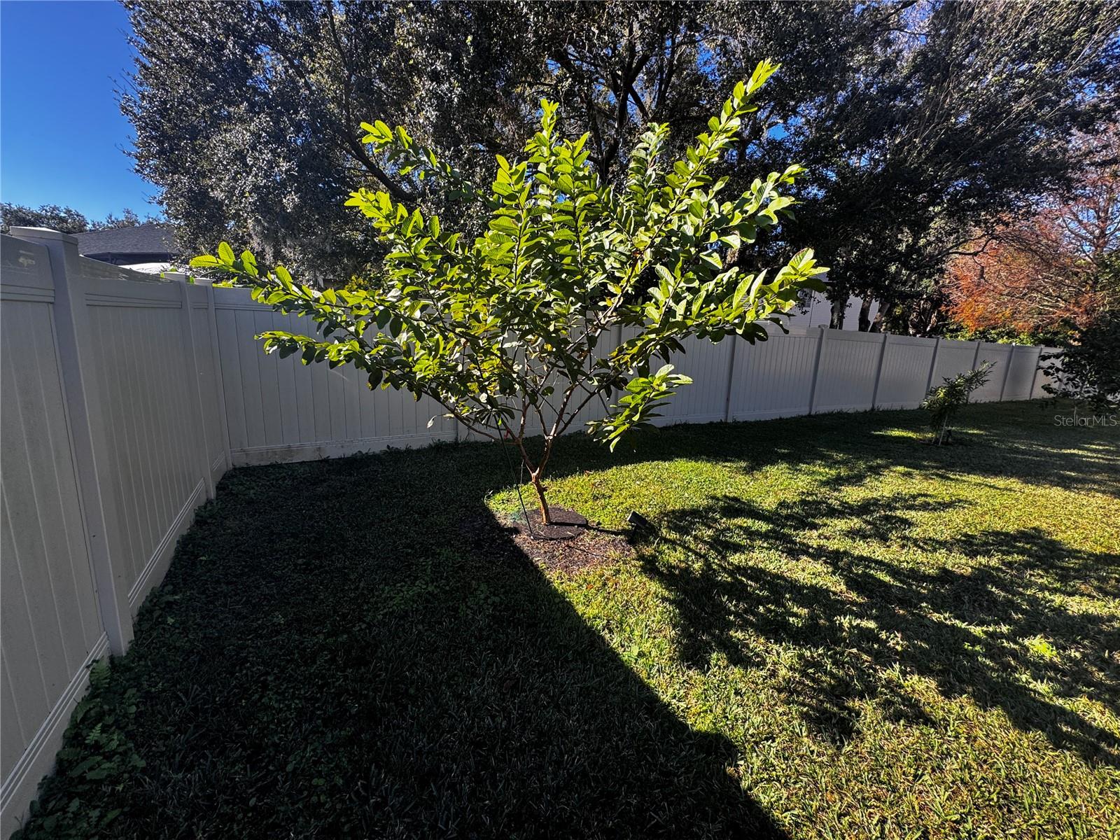 EAGLE TRACE - Residential