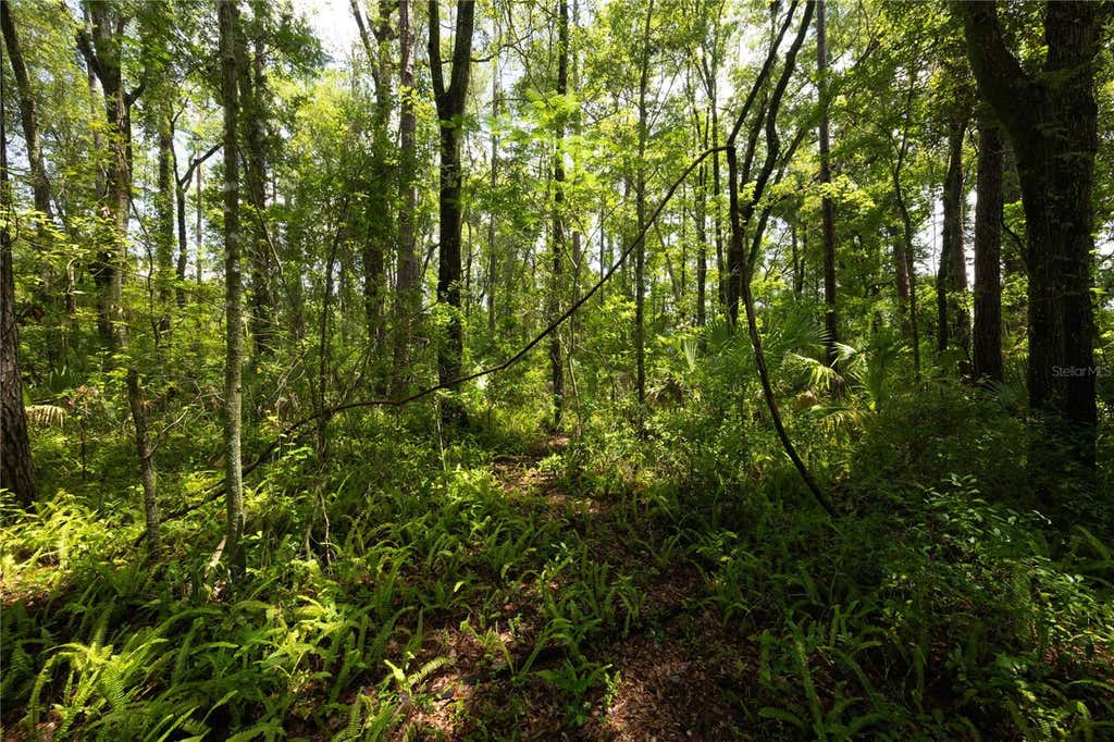 Photo of 0000 NW 34th Street, Gainesville, FL 32605 (MLS # GC542573)