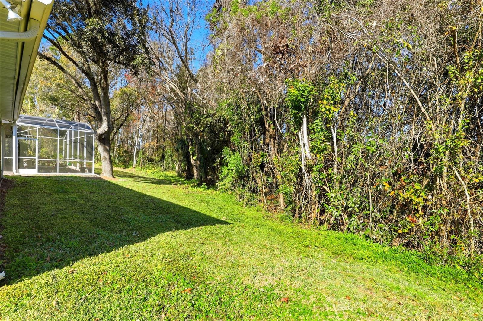 EAGLES WATCH PH 1 - Residential