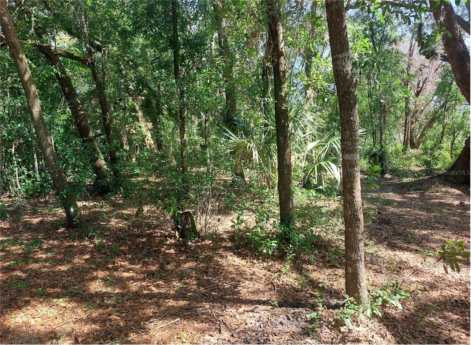 CANE MILL 2 SUB - Land