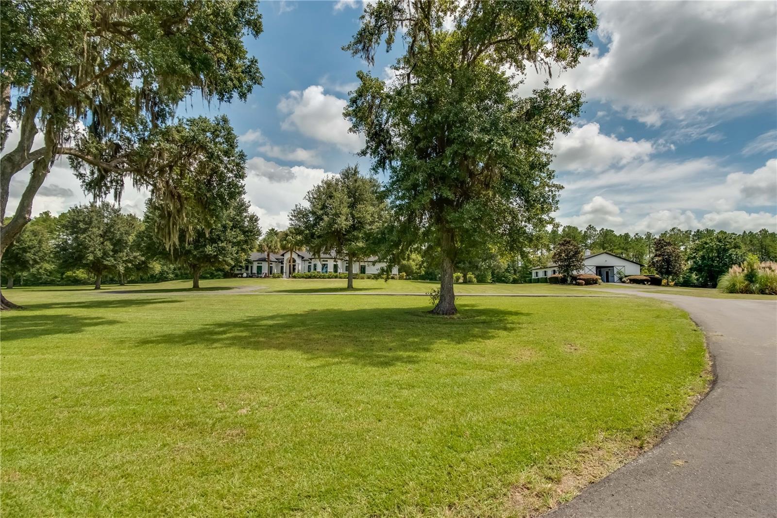 COUNTY ROAD 316 W OF I-75 - Residential