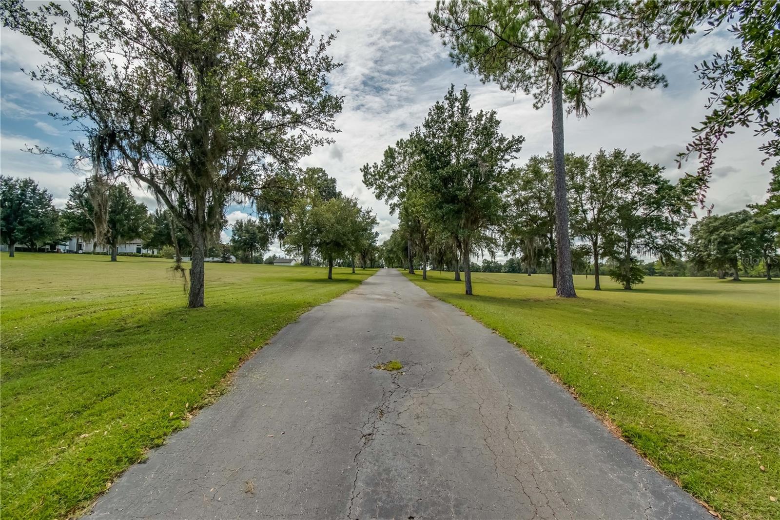 COUNTY ROAD 316 W OF I-75 - Residential