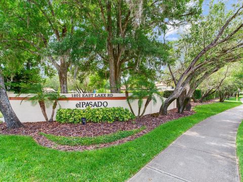 A home in PALM HARBOR