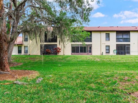 A home in PALM HARBOR