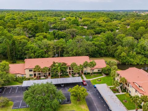 A home in PALM HARBOR