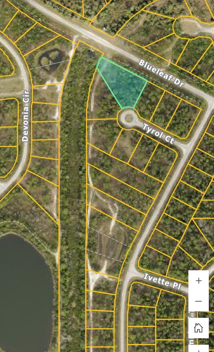 FUTURE LAND USE IS ACTIVITY CENTER.. GREAT INVESTMENT OPORTUNITY.