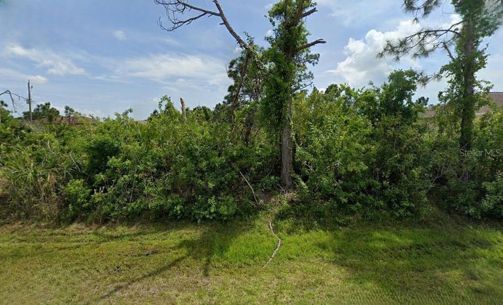 Photo of 12231 Zittle Avenue, Port Charlotte, FL 33981 (MLS # O6262661)