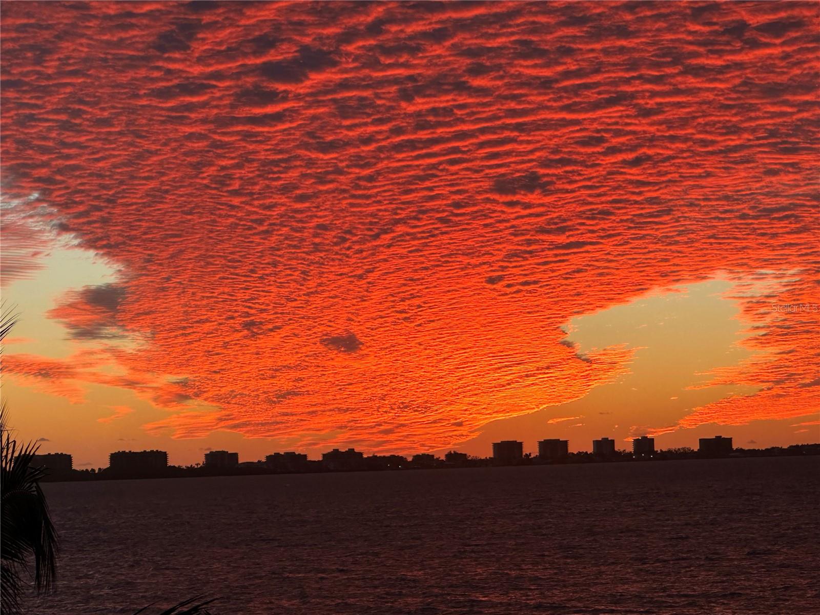 REGENT COURT - Residential