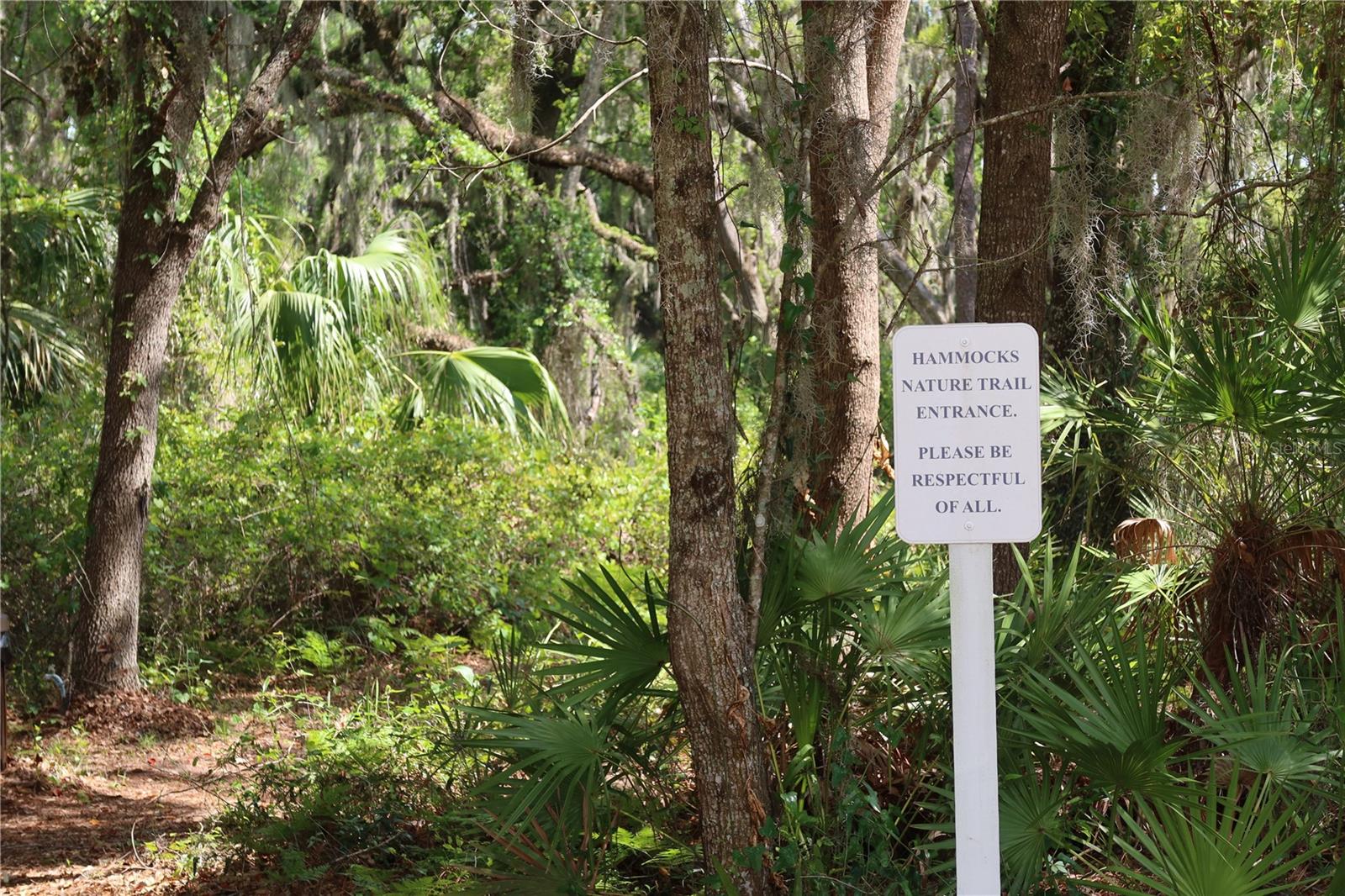 HAMMOCKS - Residential