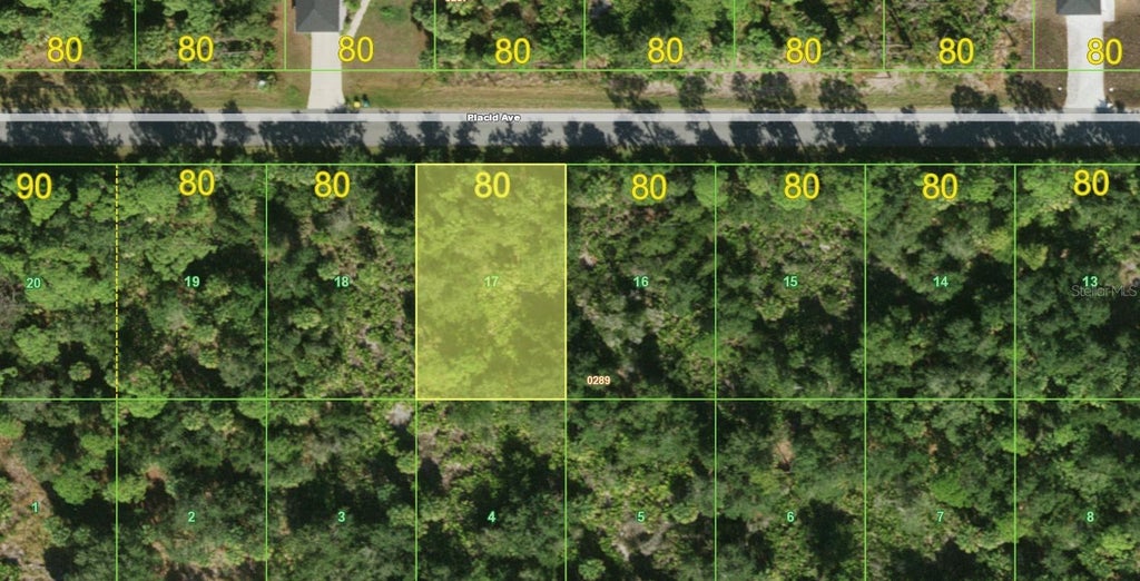 Photo of 18063 Placid Avenue, Port Charlotte, FL 33948 (MLS # A4706132)