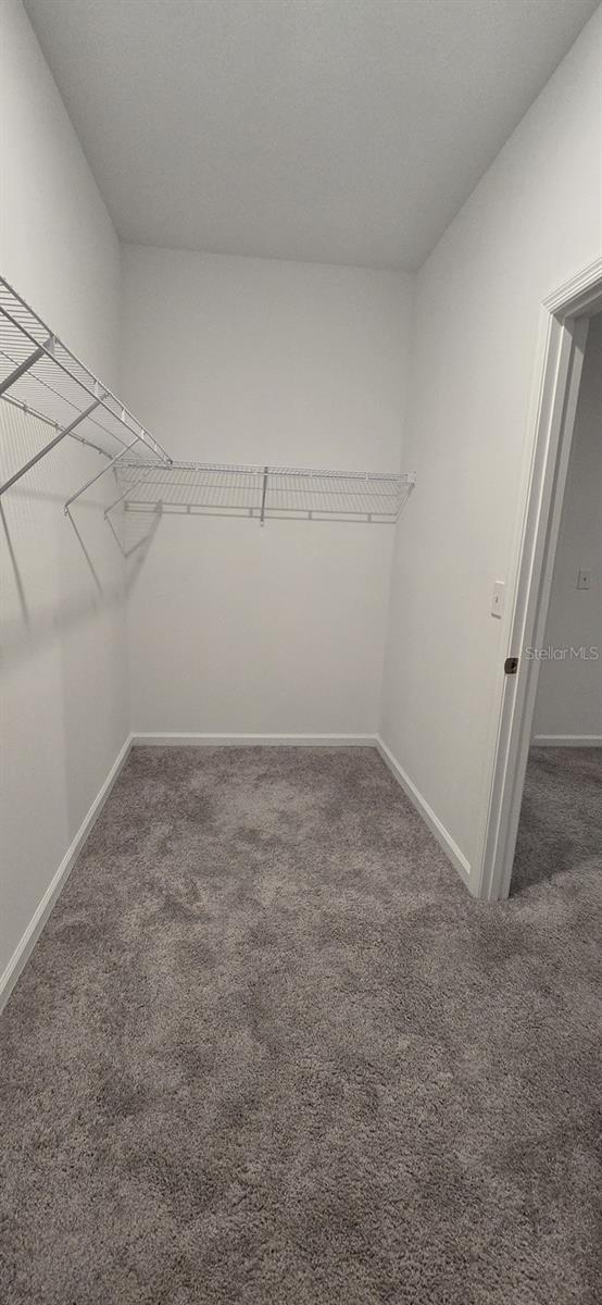 MABEL PLACE - Residential Lease