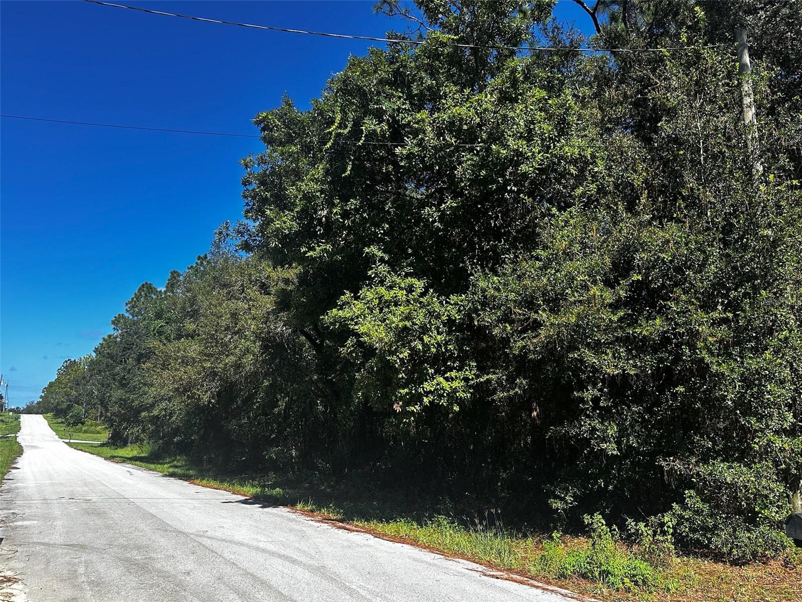 Bring your blueprints and big dreams! This .22 acre parcel in Inverness is ready for its glow up. With roughly 80 feet of frontage on a paved street, you’ve got room to spread out, build up, and do your thing. Whether that’s a cozy home base, a future winter retreat, or the ultimate backyard BBQ kingdom.Tucked into an area with that small town Florida vibe, this wooded lot offers natural privacy, no HOA to boss you around, and a central location with easy access to town, lakes, and outdoor adventures. Public utilities nearby make building a breeze. So go ahead, plant roots, pitch plans, and make something awesome, this corner of Citrus County is just waiting for someone like you.