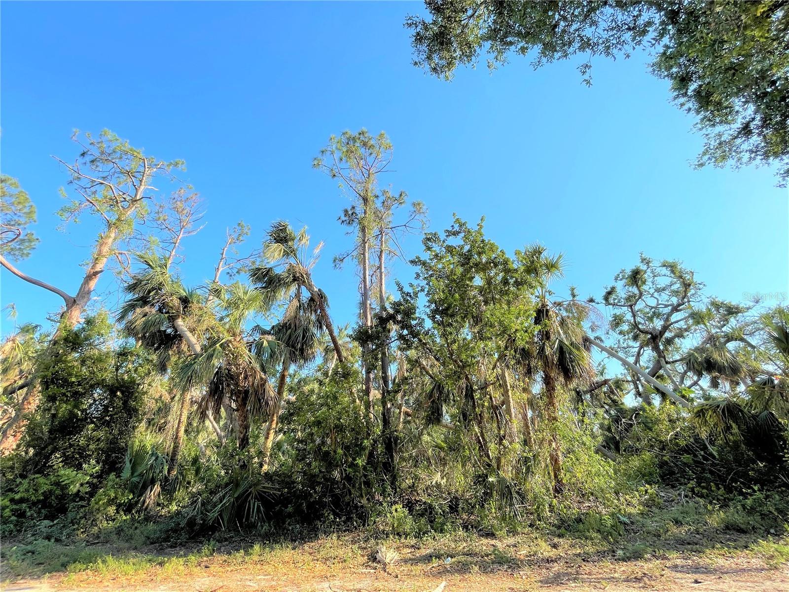 Excellent opportunity to buy and build your dream home. Near the Charlotte and Sarasota line. Minutes from beaches, golf courses, boat ramps, world class fishing, dining, shopping and medical facilities