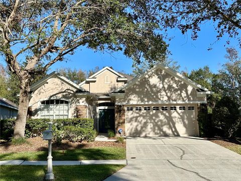 10234 EVERGREEN HILL DRIVE TAMPA FL 33647