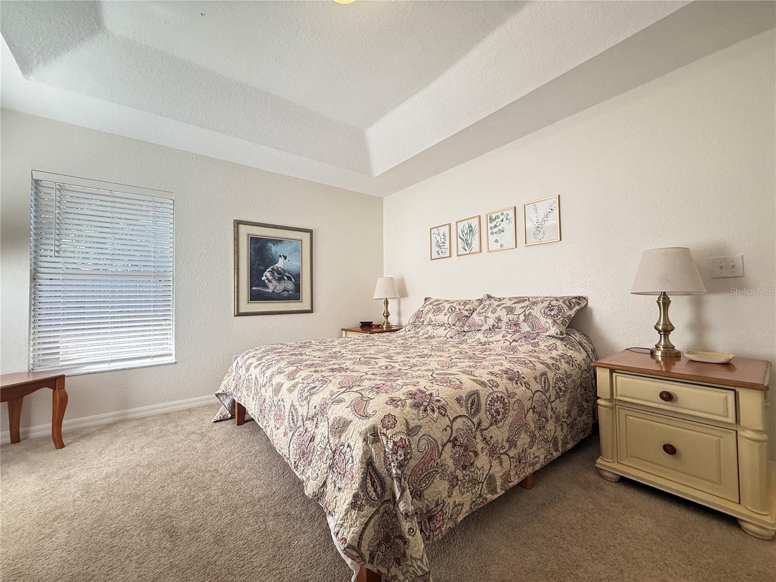 OCALA PARK ESTATE - Residential