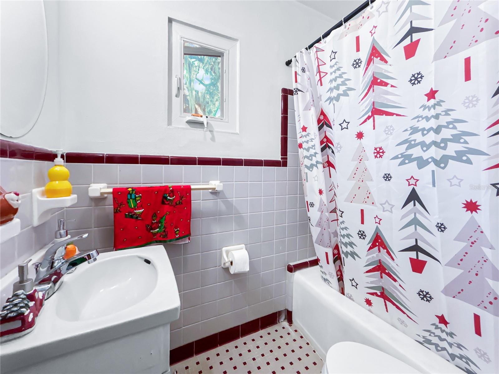 TAVARES LAKEWOOD PARK - Residential