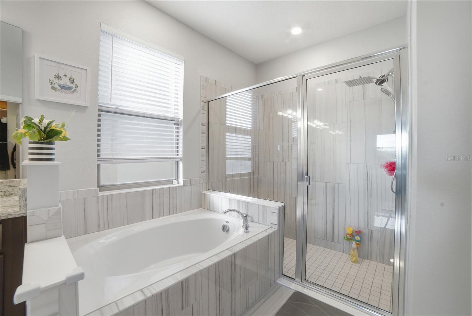 RESERVE AT PINE TREE - Residential