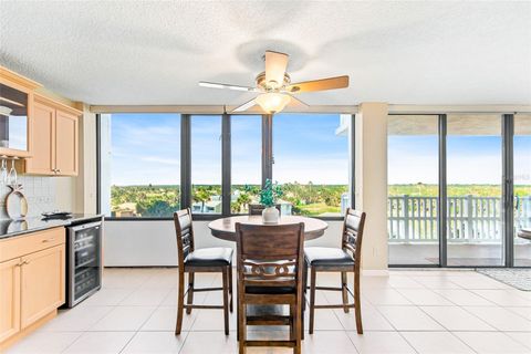 A home in FLAGLER BEACH