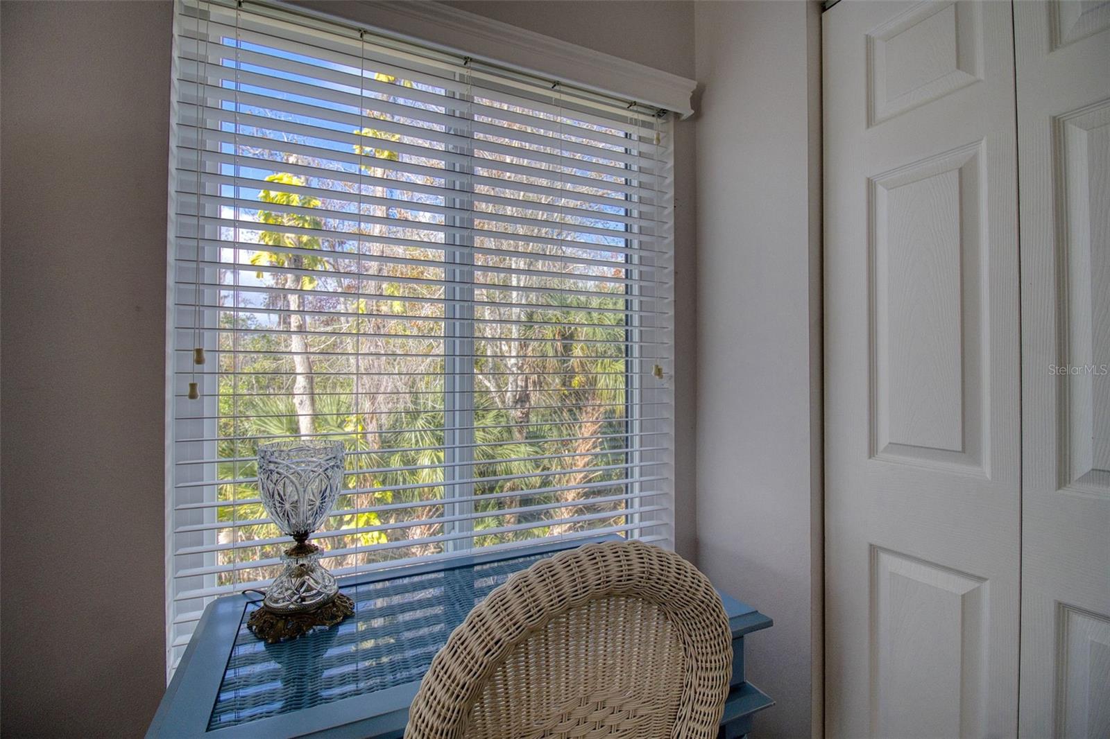 PINE RIDGE AT LAKE TARPON VILLAGE - Residential