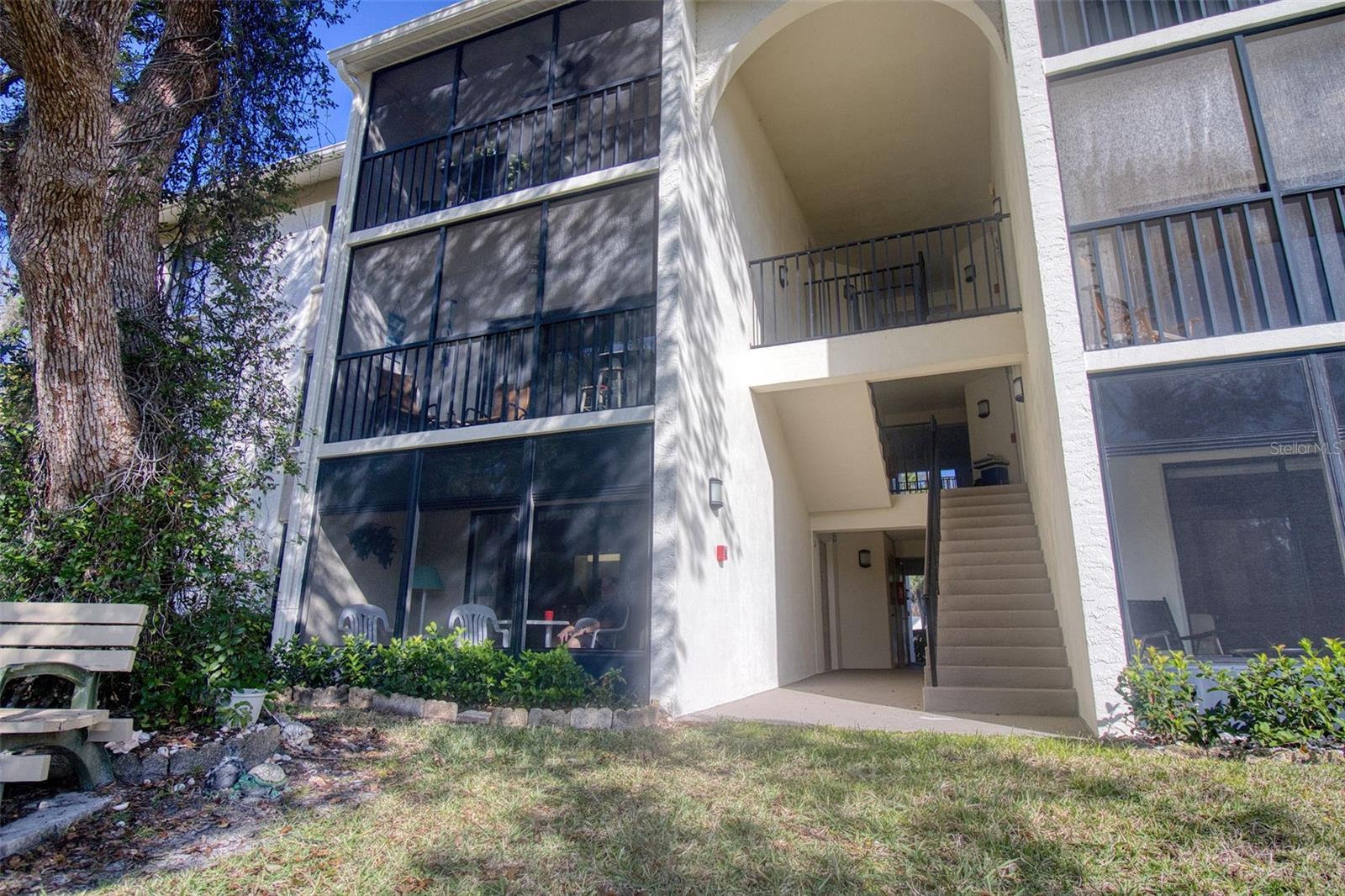 PINE RIDGE AT LAKE TARPON VILLAGE - Residential