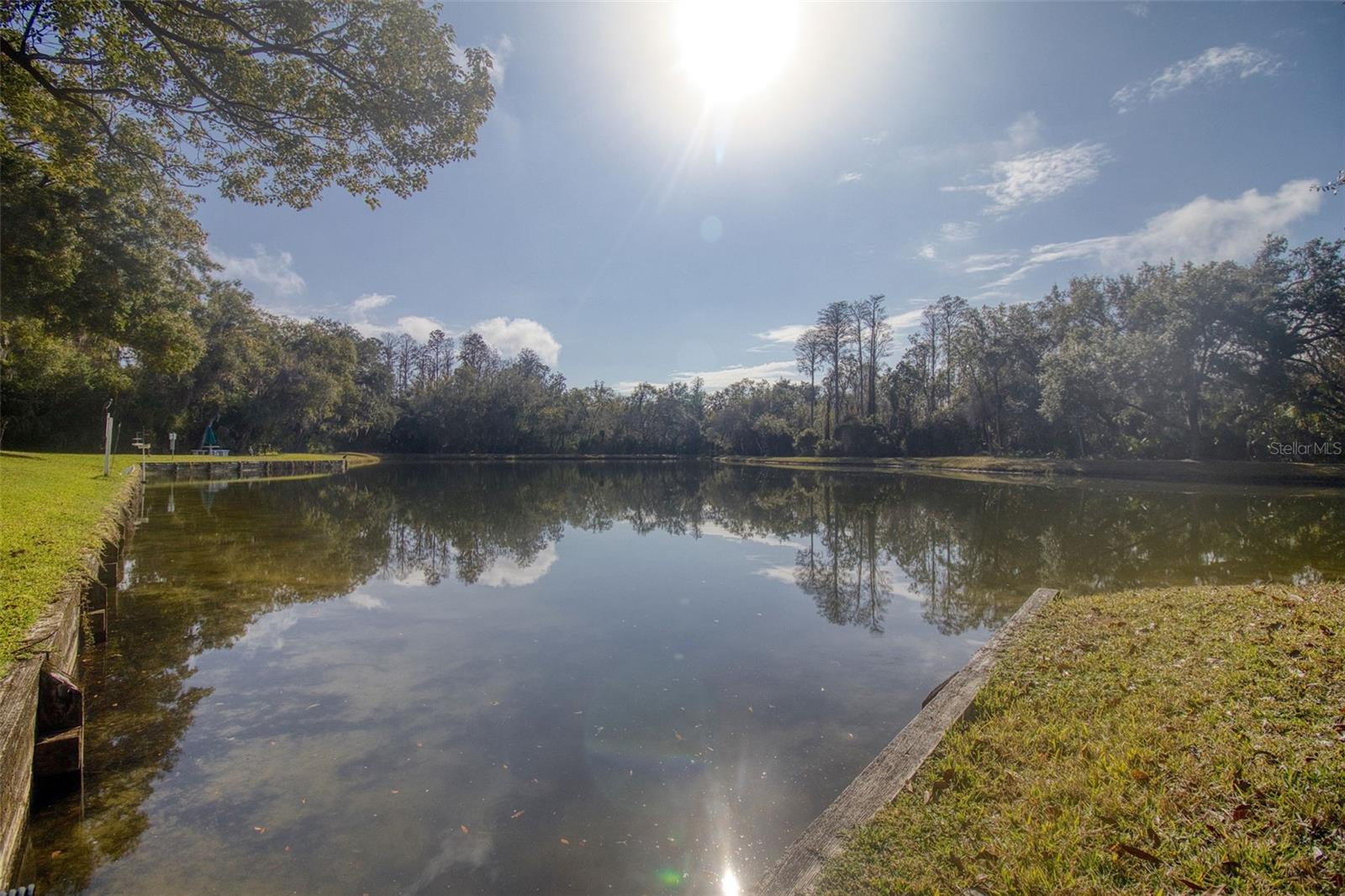 PINE RIDGE AT LAKE TARPON VILLAGE - Residential