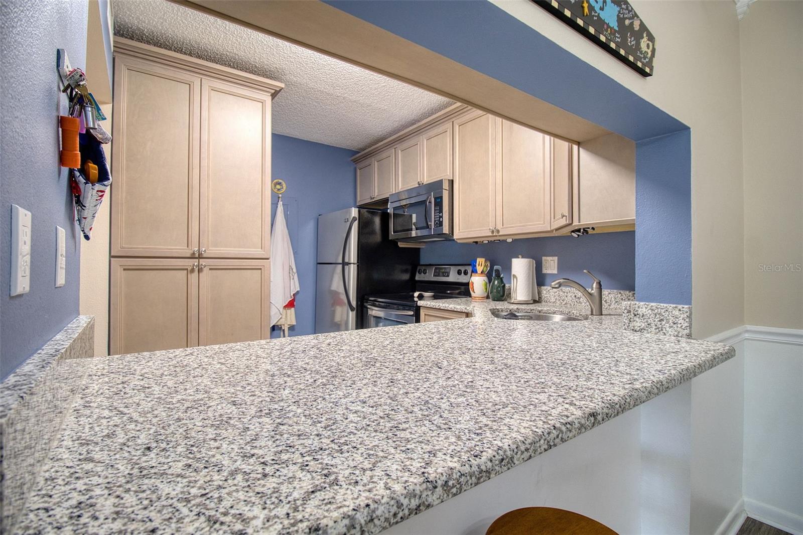 PINE RIDGE AT LAKE TARPON VILLAGE - Residential