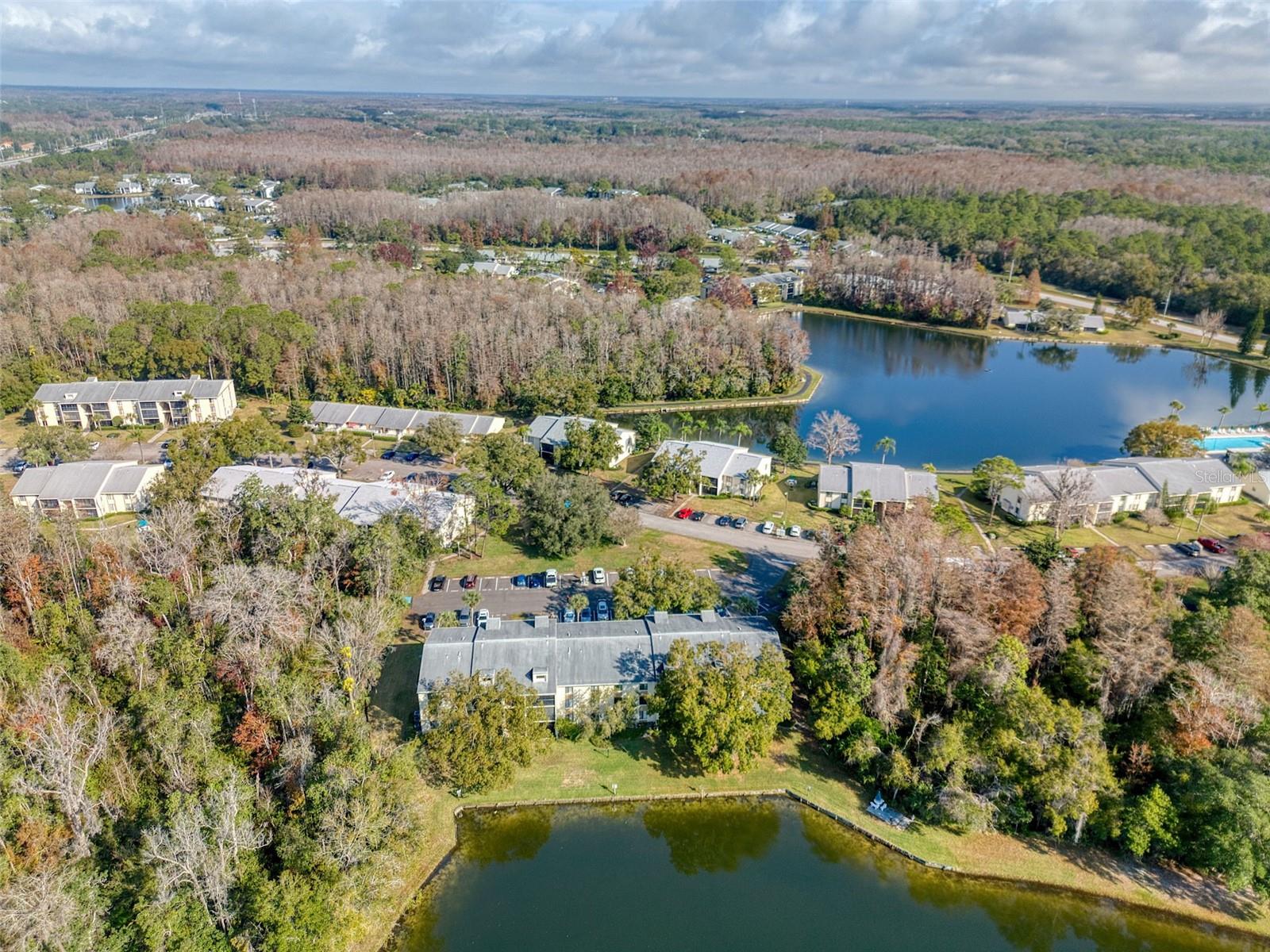 PINE RIDGE AT LAKE TARPON VILLAGE - Residential