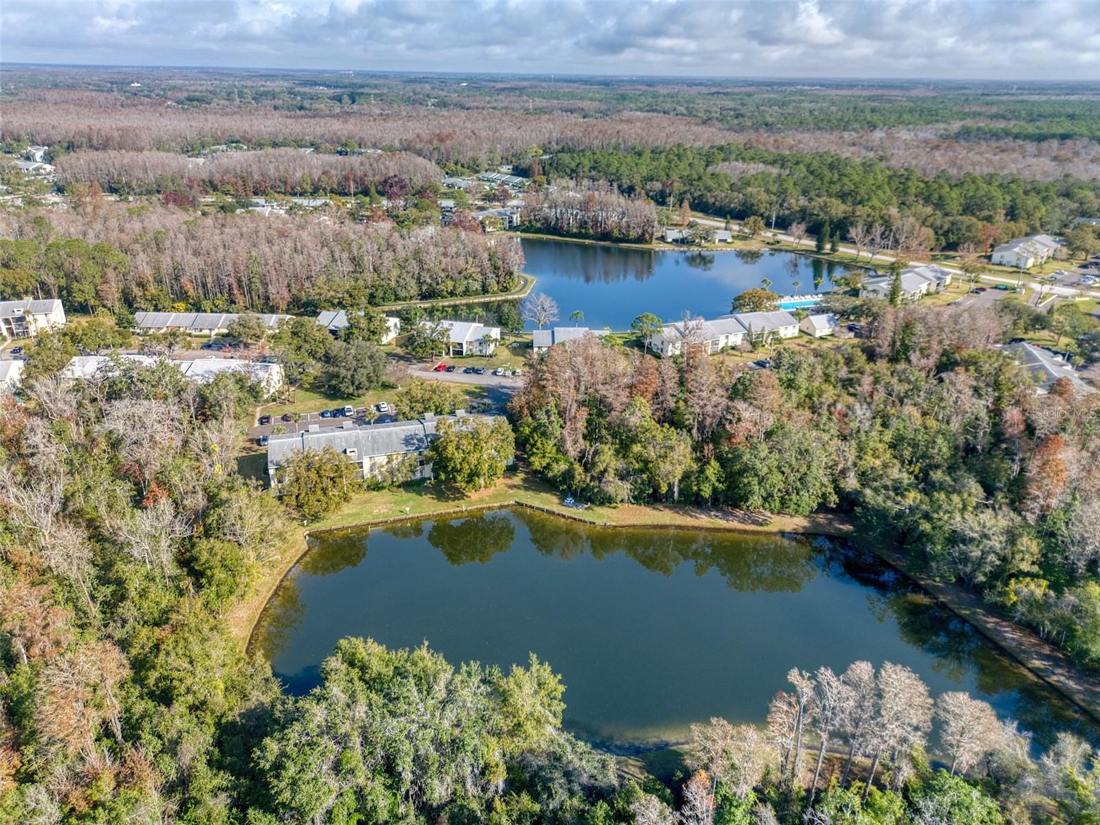 PINE RIDGE AT LAKE TARPON VILLAGE - Residential