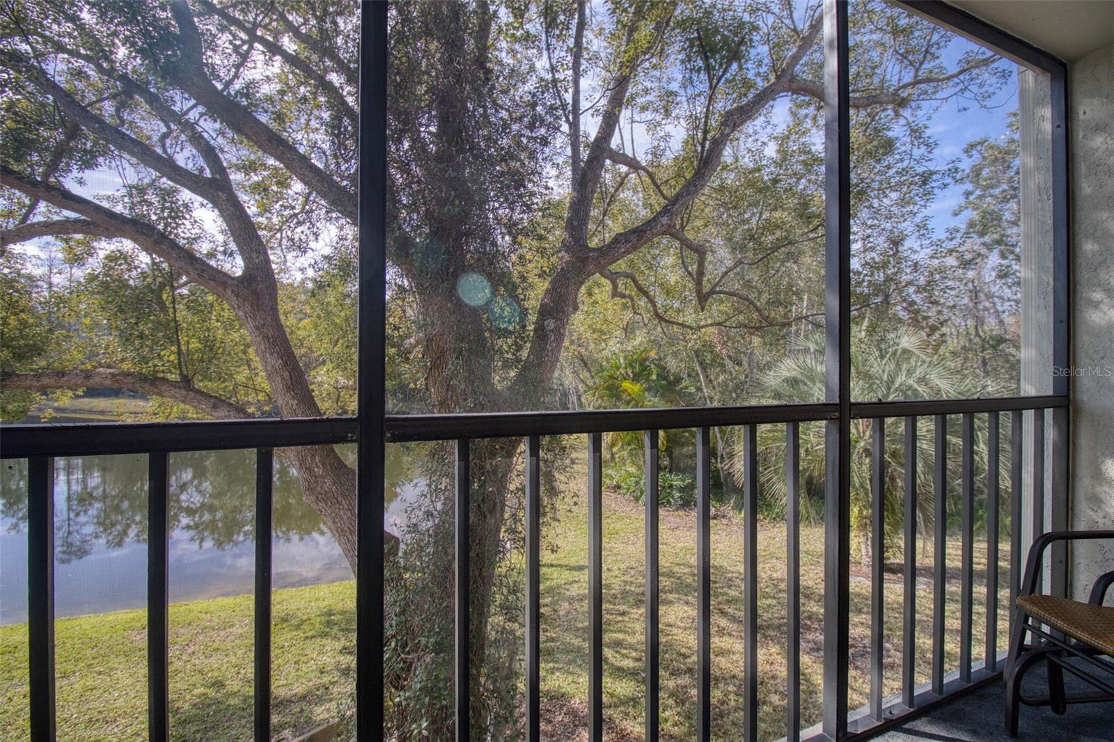 PINE RIDGE AT LAKE TARPON VILLAGE - Residential