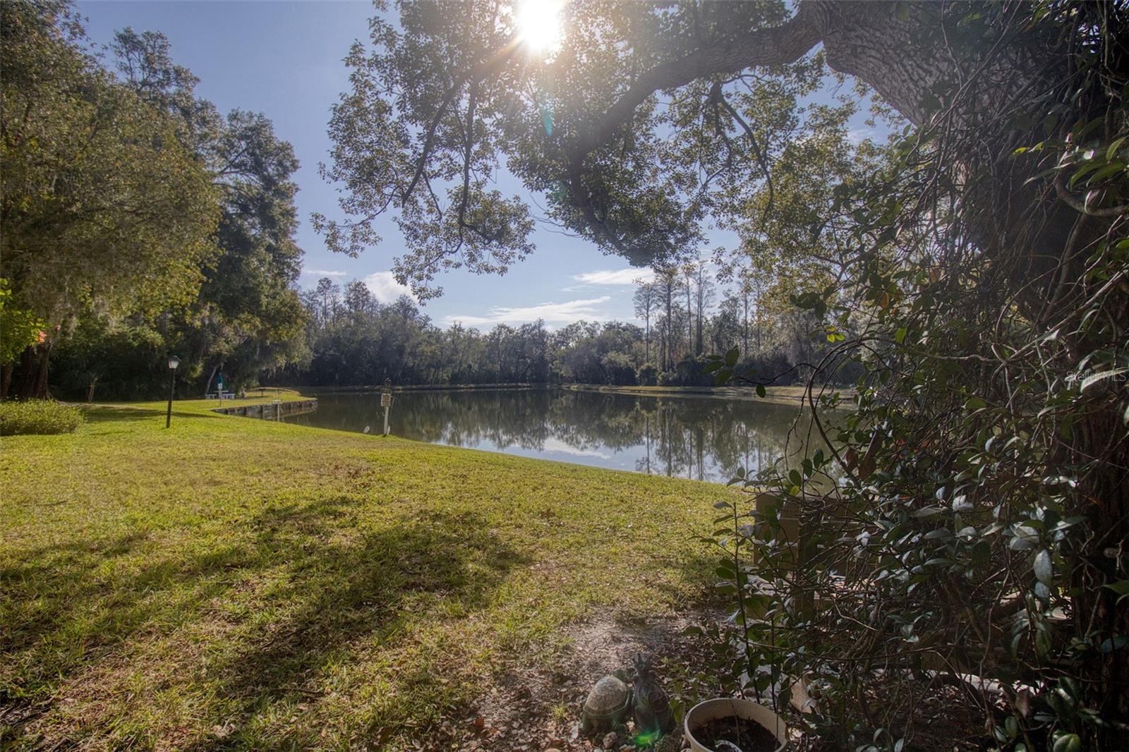 PINE RIDGE AT LAKE TARPON VILLAGE - Residential