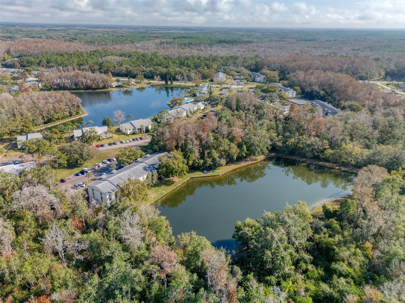 PINE RIDGE AT LAKE TARPON VILLAGE - Residential
