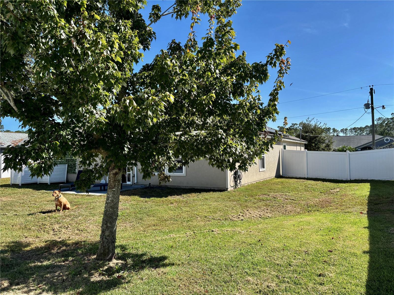 PALM COAST PINE GROVE SEC 25 - Residential