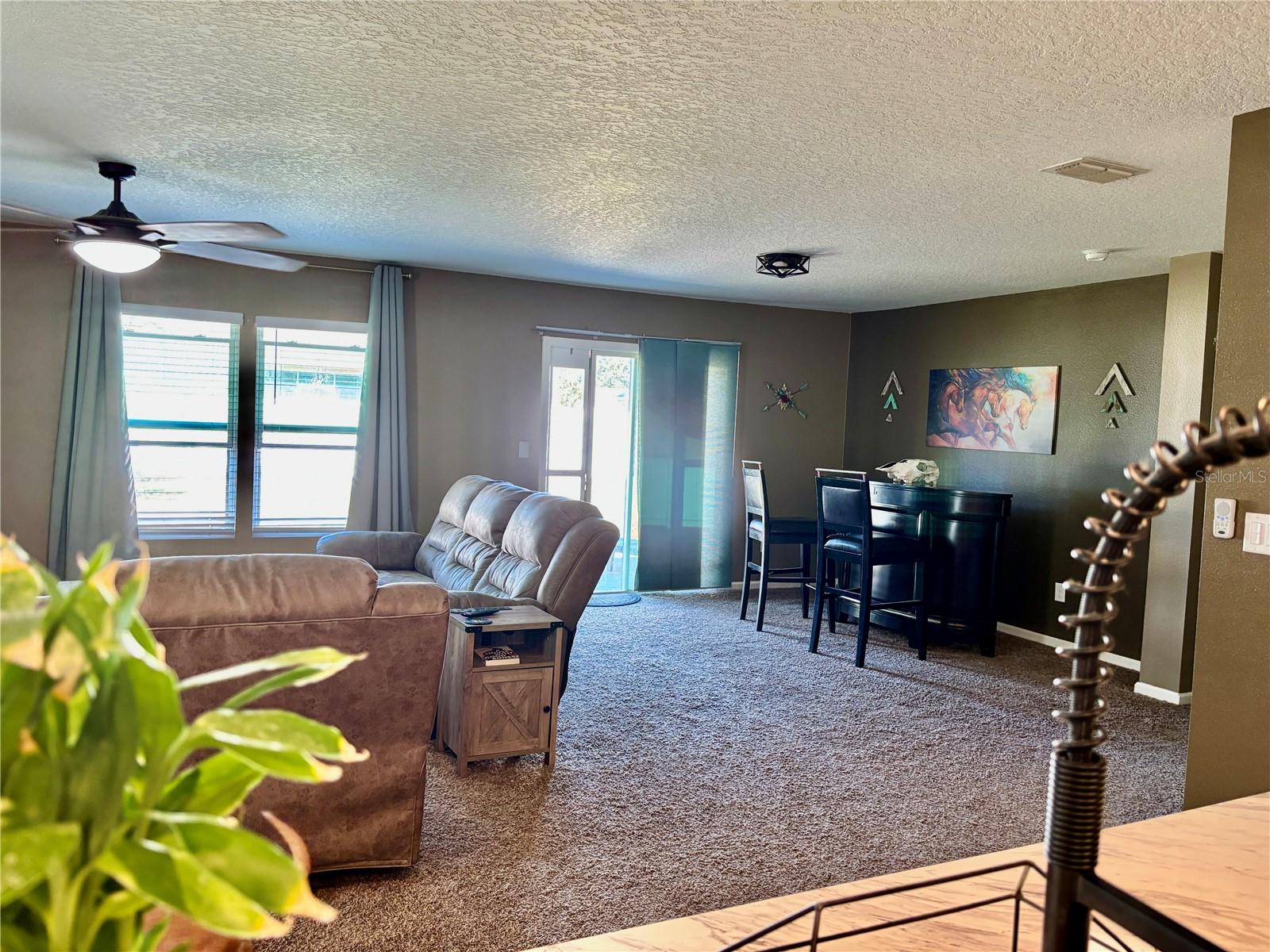 PALM COAST PINE GROVE SEC 25 - Residential