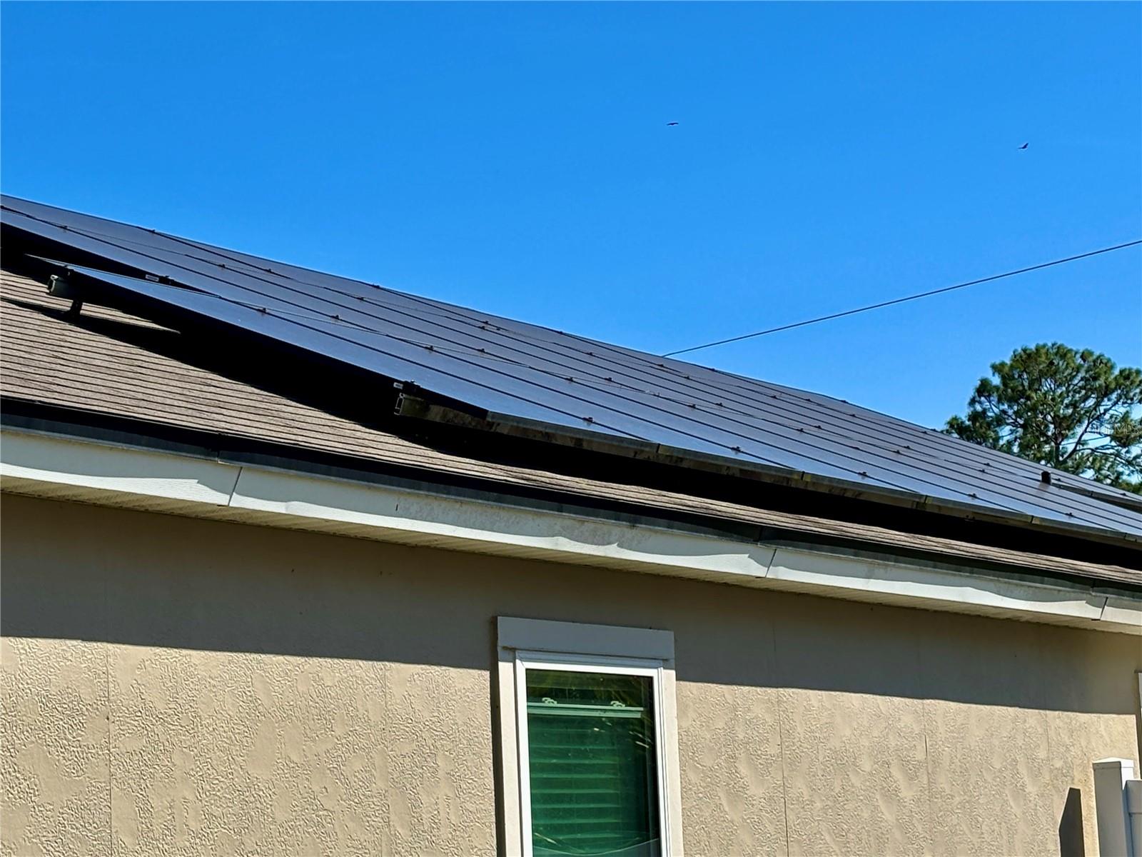 PALM COAST PINE GROVE SEC 25 - Residential