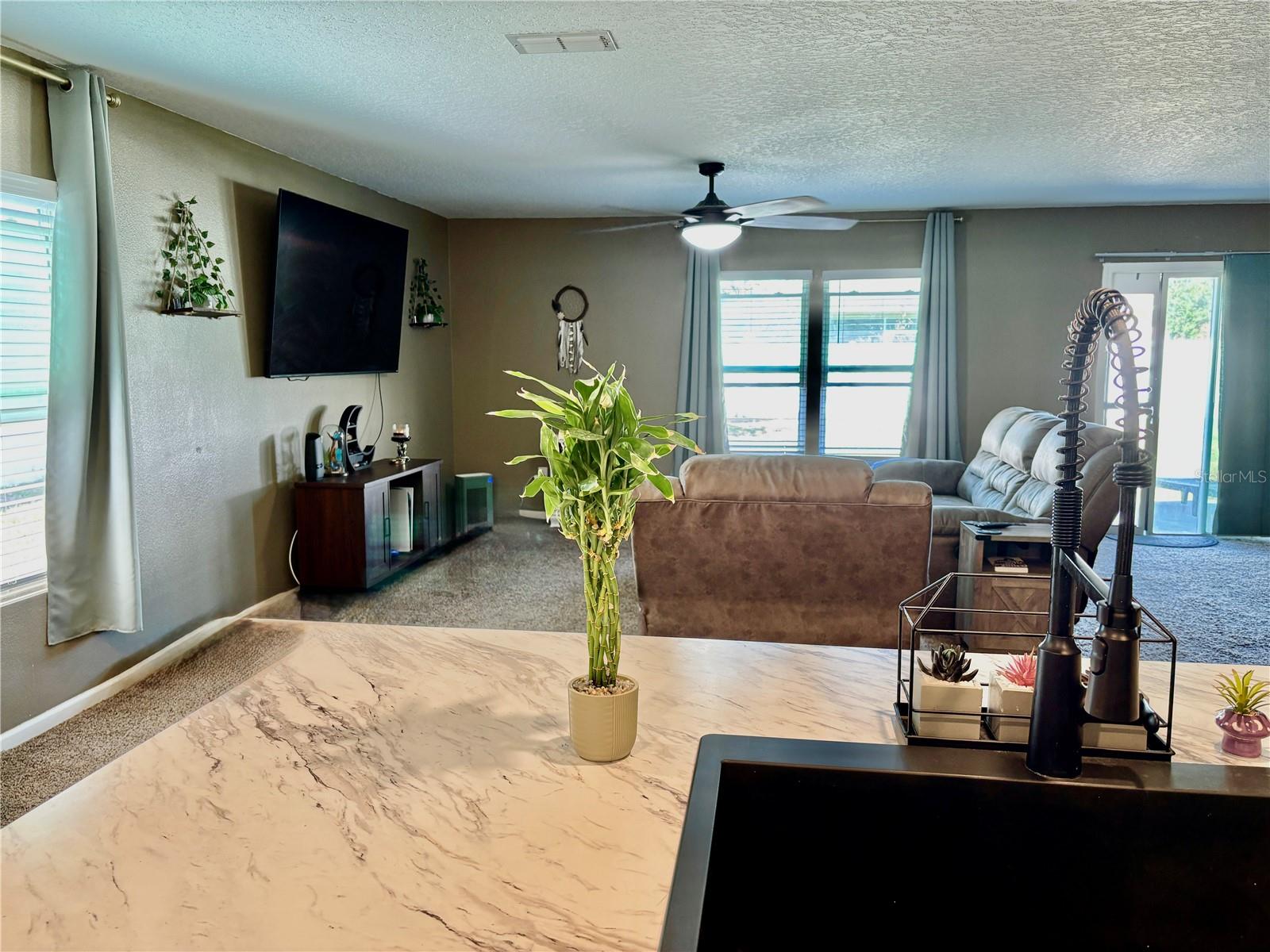 PALM COAST PINE GROVE SEC 25 - Residential