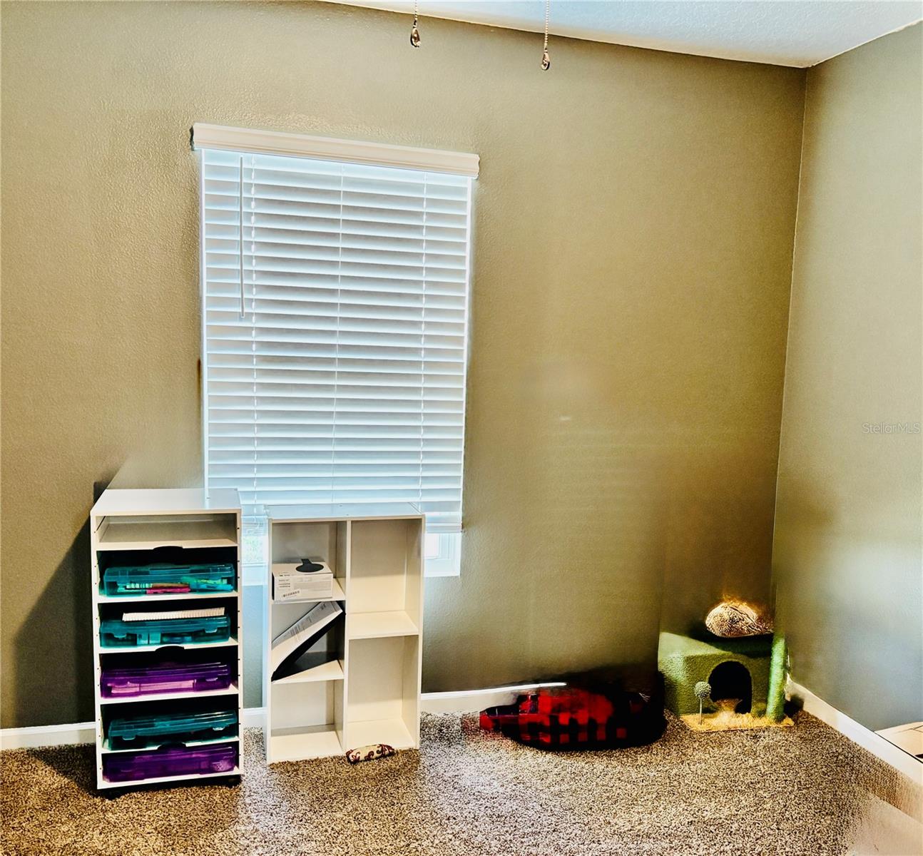 PALM COAST PINE GROVE SEC 25 - Residential