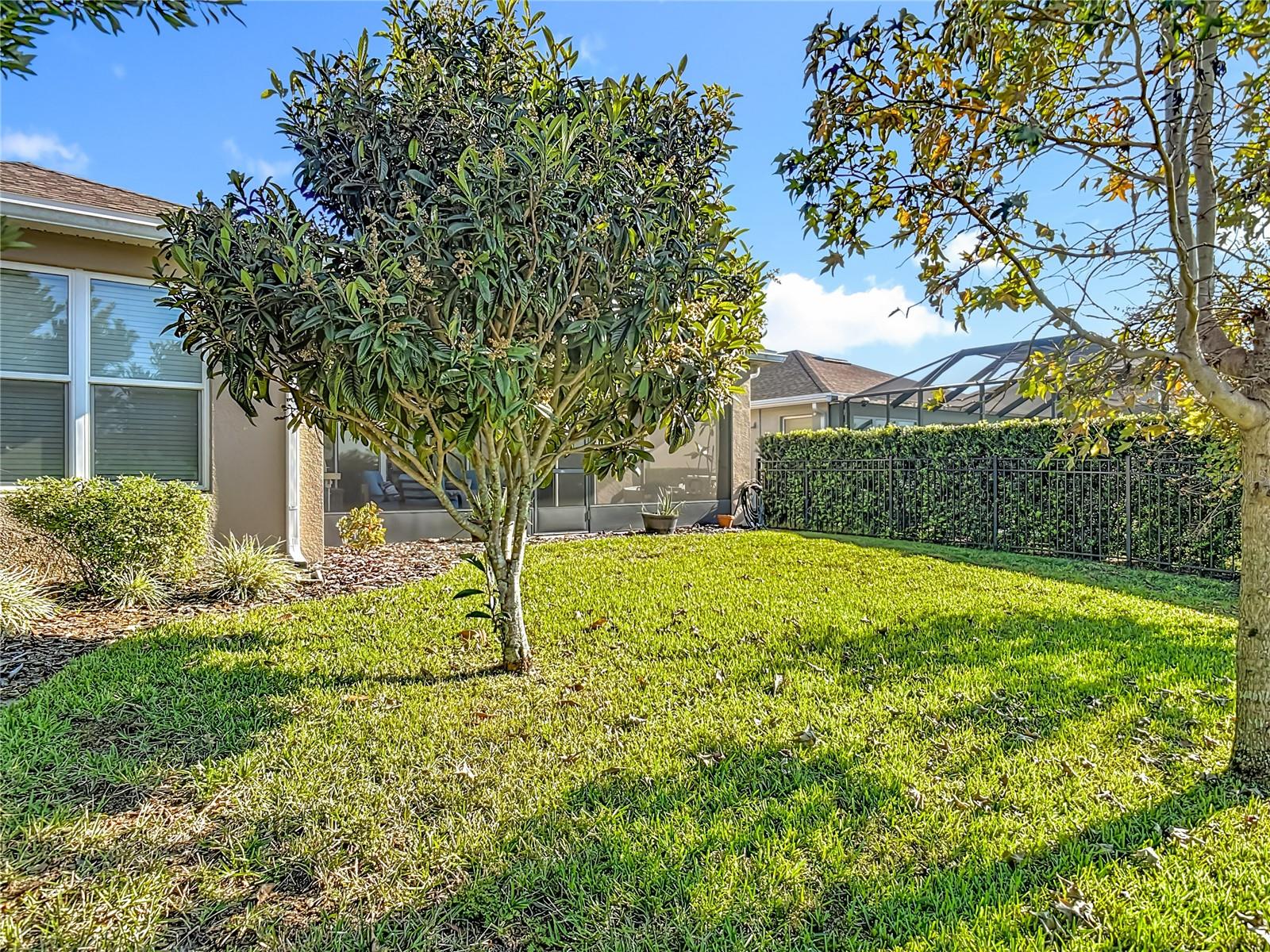 VICTORIA HILLS - Residential