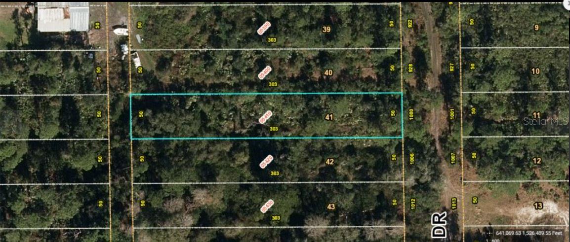 CHRISTMAS PINES REP - Land