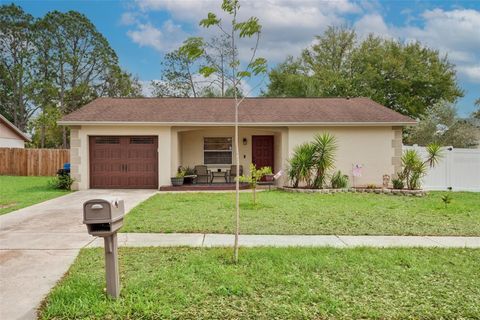 Photo of 13837 Pathfinder Drive, Tampa, FL 33625 (MLS # TB8487795)