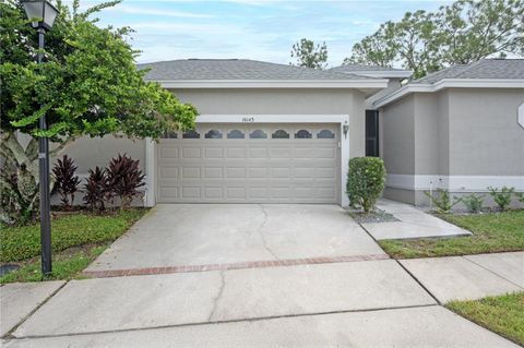 Photo of 16143 Craigend Place, Odessa, FL 33556 (MLS # TB8426944)