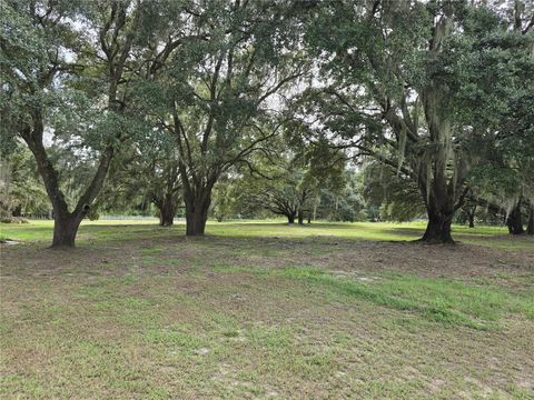 A home in BELLEVIEW