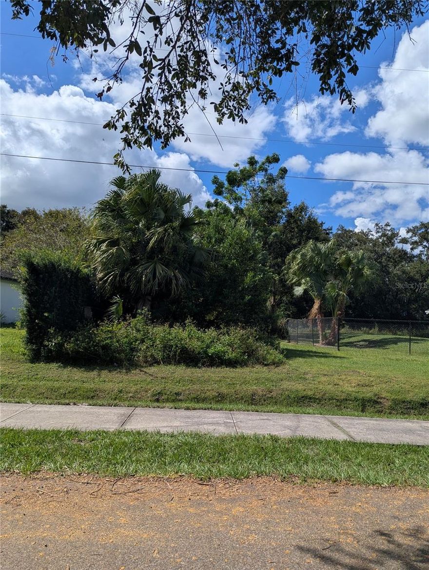 If you're looking for a half-acre of land in Mount Dora, here it is!  Large enough to build your forever home while tucked away in a quiet neighborhood, you will have more than enough privacy and space to enjoy everything in Mount Dora and Central Florida!