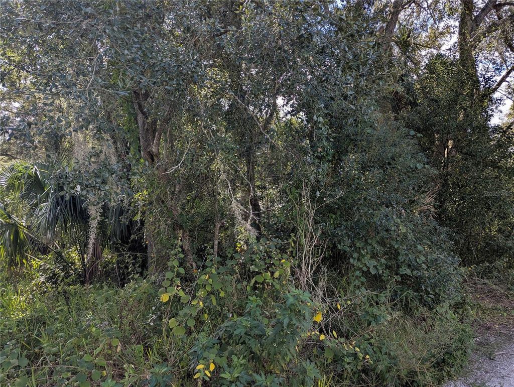 Photo of Holly Street, Mount Dora, FL 32757 (MLS # O6352935)