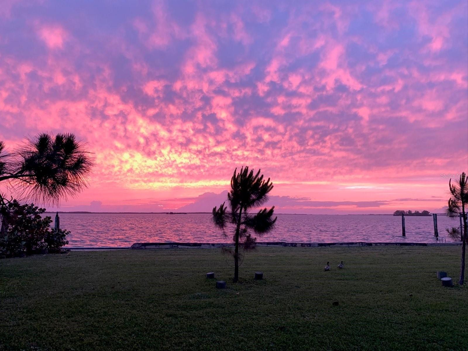 DUNEDIN ISLES 1 - Residential