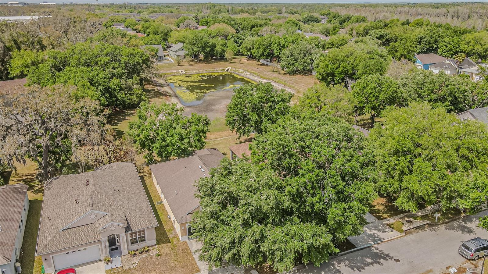 HIDDEN OAKS AT TEMPLE TERRACE - Residential