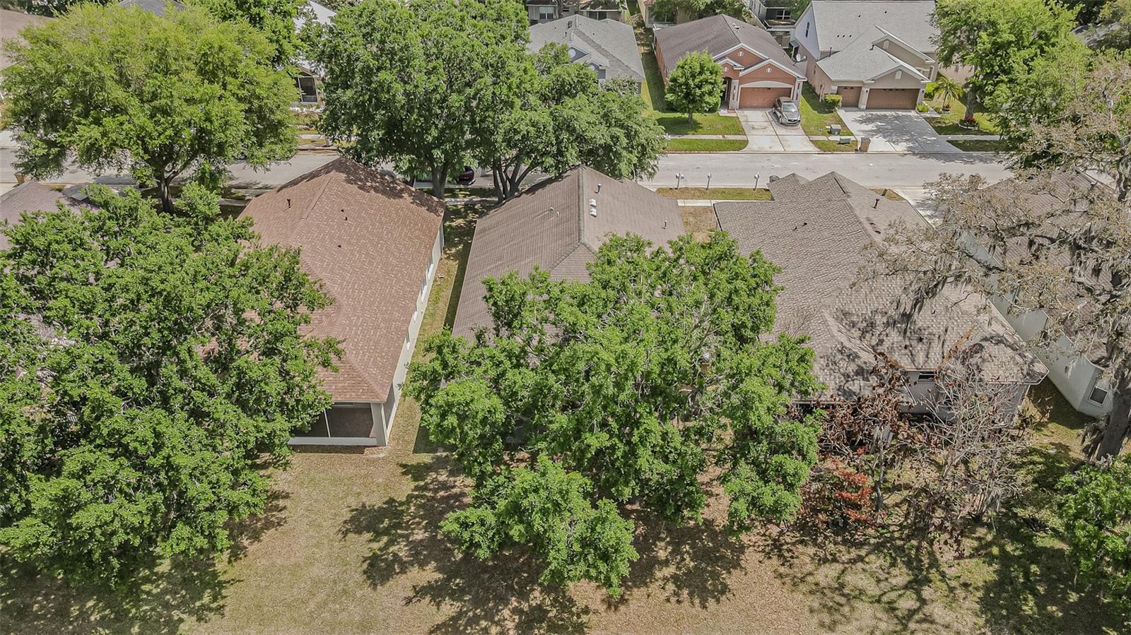 HIDDEN OAKS AT TEMPLE TERRACE - Residential