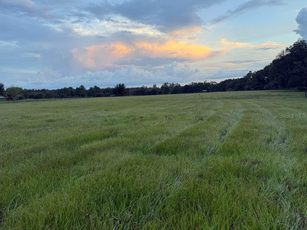 Photo of 27900 Bayhead Road, Dade City, FL 33523 (MLS # TB8539379)