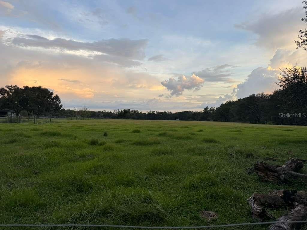 Photo of 27900 Bayhead Road, Dade City, FL 33523 (MLS # TB8539379)
