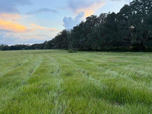 27850 BAYHEAD RD, DADE CITY, FL 33523 - Image bdc6b6d746d2f71a1ebeec4f16797c56/2668967480