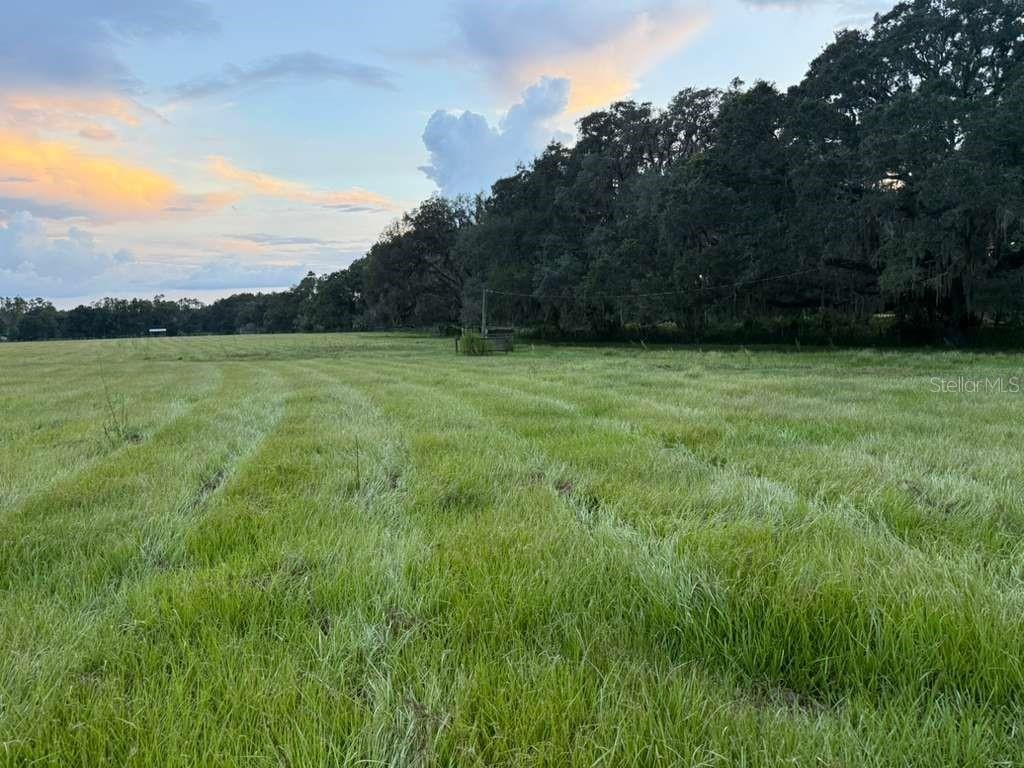 Photo of 27900 Bayhead Road, Dade City, FL 33523 (MLS # TB8539379)